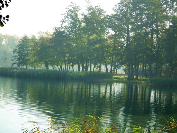 Miedzychód